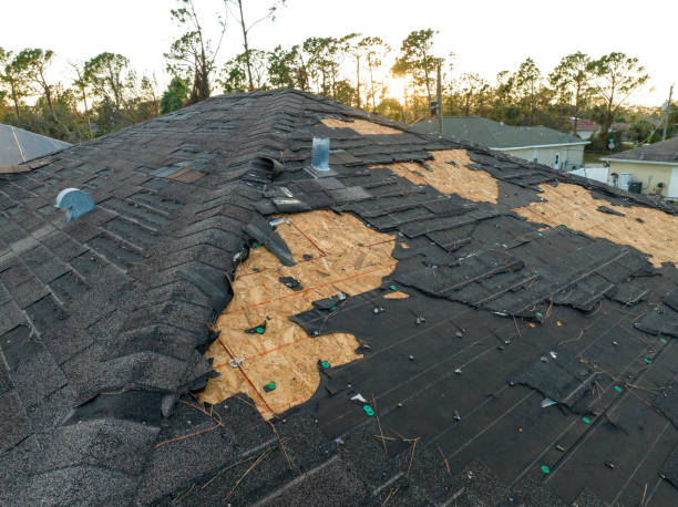 Best Rubber Roofing (EPDM, TPO)  in Cane Savannah, SC